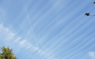 June,2024 Hallidays Point NSW