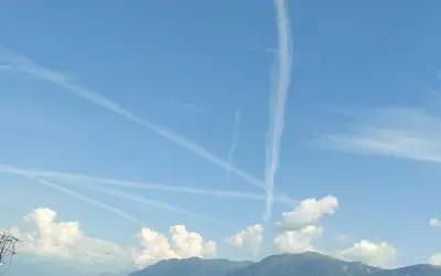 Locarno, august 25, 2024