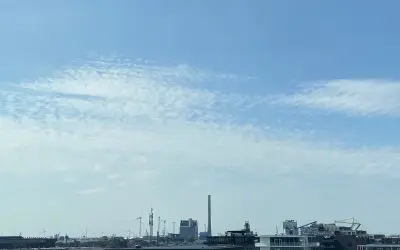 Amsterdam: fake alarm