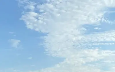 Amsterdam: mix of natural clouds and chemclouds?