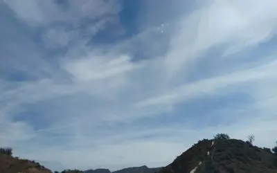 Morocco-Marrakesh 18-10-24 We are the Co2 they want to reduce!