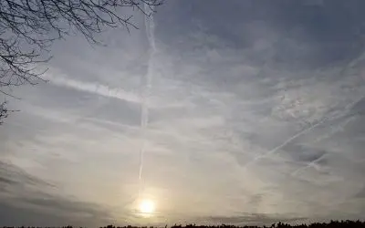 Friesland-The Netherlands because the kartel care so much about all life.