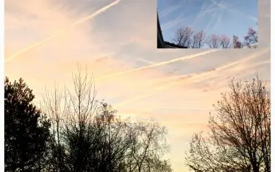 Sunrise Friesland very busy