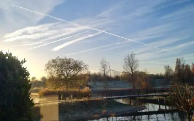 The Haque…goodmorning don,’t look up