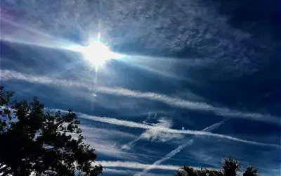 Deadly skies in Tampa Florida.