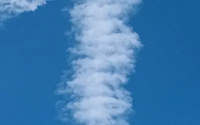 All day, everyday Alabama