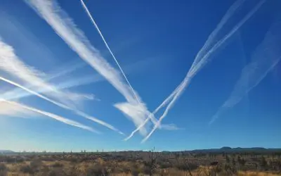 Bend, OR 11/8/24 8AM