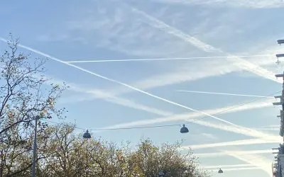 Amsterdam: real psychopaths, those who are doing this!