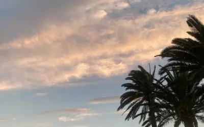 Nerja Spain yesterday: chemclouds seem to get this pink colour at sunset