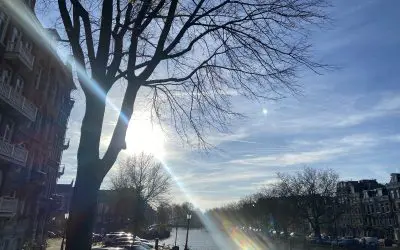 Amsterdam: frantic pulling of poisonous trails in front of the sun, not a single natural cloud in sight right now