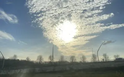 Haarlem – The Netherlands: not a pretty picture, no natural clouds in sight, so must be fake & poisonous