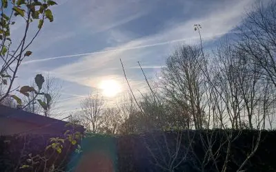 Poor bastards even werking on Sunday