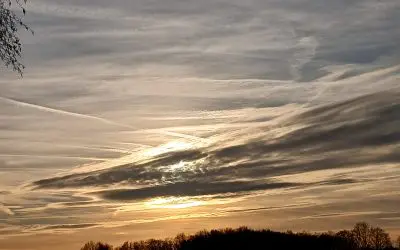 Friesland-MSM must come up with a new namefor this fake cloud