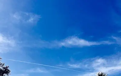 Every day in Governor Ron Desantis state of Florida.