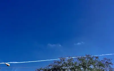 Saint Petersburg Fl getting poisoned once again by same group with the drones.