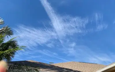 New Moon North Port, Fl toxicity