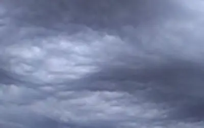 Bill Gates  is funding