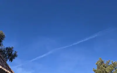 Vegas chem assault reinstated