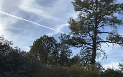 Dewey Arizona – AGAIN! Who’s paying for this annihilation of humankind?