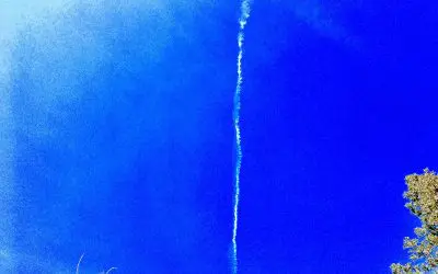 Trump inauguration and this still happening in Central Florida.