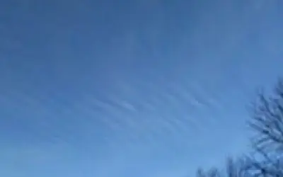 Bill gates is funding