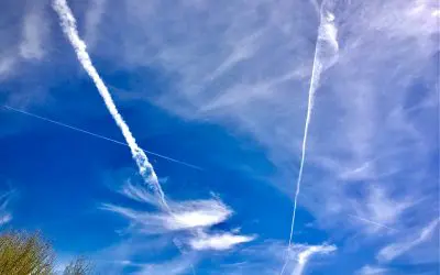 Phoenix Arizona. Stand up and put a stop to this sickness! Stand up for your children.