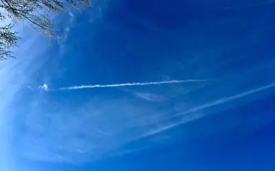 DOGE needs to investigate the Arizona State Government. We put up with this poison everyday. Enough!.