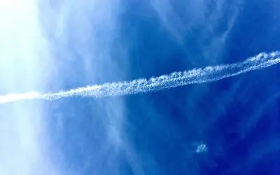 This is what a child like state government and dumbed-down population gives you in Arizona.