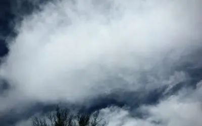 The criminals sprayed Central Arizona skies all night. Leaving the children of Arizona with these this morning. No sun but plenty of chemicals to breathe in.