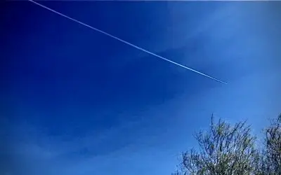 One of the reasons Arizona state government off are concerned (worried) D.O.G.E. and being accountable to the taxpayers of Arizona.