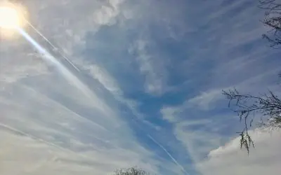 Phoenix Arizona. Help us Bobby Kennedy and Elon! Help us in Arizona please!