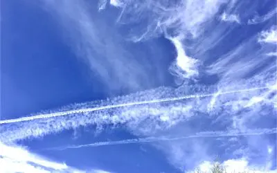 D.E.I. Infected state of Arizona.