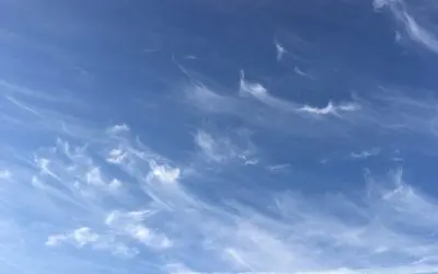 What does the Arizona governor and legislature know about these? And why do they allow them to hurt our population with chemicals?