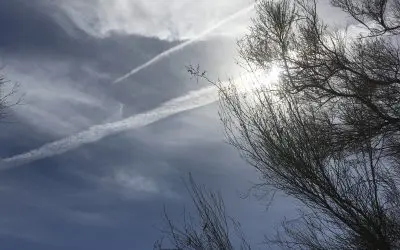 Contact your Governor of Arizona and ask her why she allows these to be spayed over the children of Arizona?