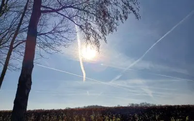 Friesland- Netherlands -5 this morning but hey codering the sun against global warming.