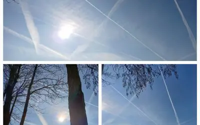 Netherlands,started 30 min ago 4 planes very busy approved by the EU cartel