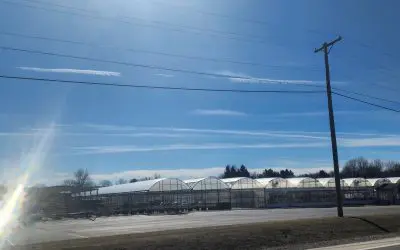 Brandon Twp, Michigan