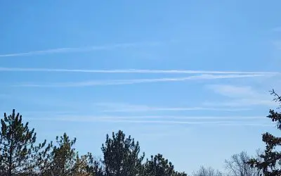 Rochester Michigan 48306