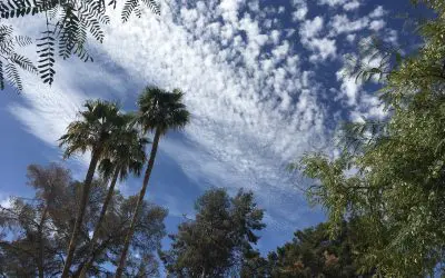 Pulse chemtrails in Phoenix Arizona. We need to bring this to an end!