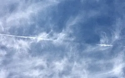 Phoenix AZ, protest these criminals anywhere and anytime, every day!