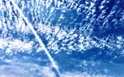 Spraying us like bugs here in Maraña Arizona.