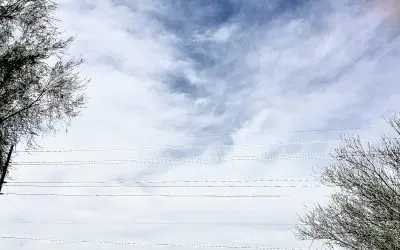 What does the Governor of Arizona know about this?