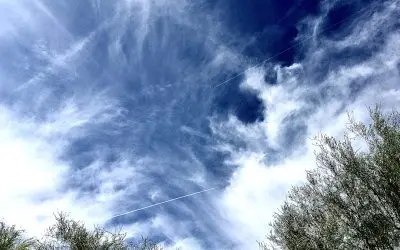 President Trump, Robert Kennedy Jr. HELP us Please!