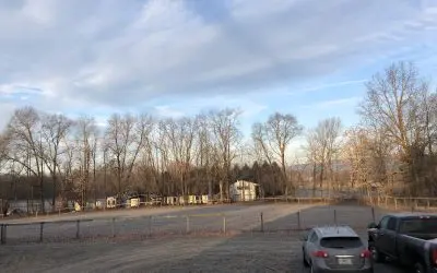 spraying us like bugs at dawn and dusk every day