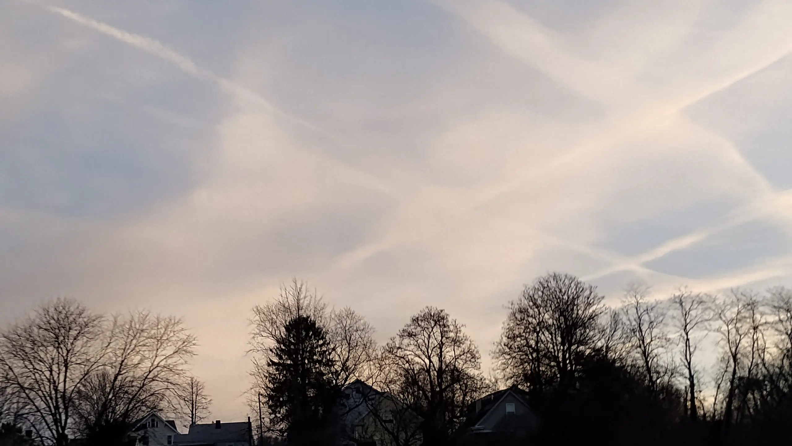 img_20250202_074049207