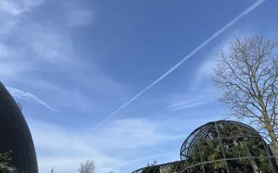 Amsterdam: beautiful day with only fake clouds in the sky (phot’s taken at the Artis Zoo)