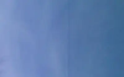 Wis-notice blk  line