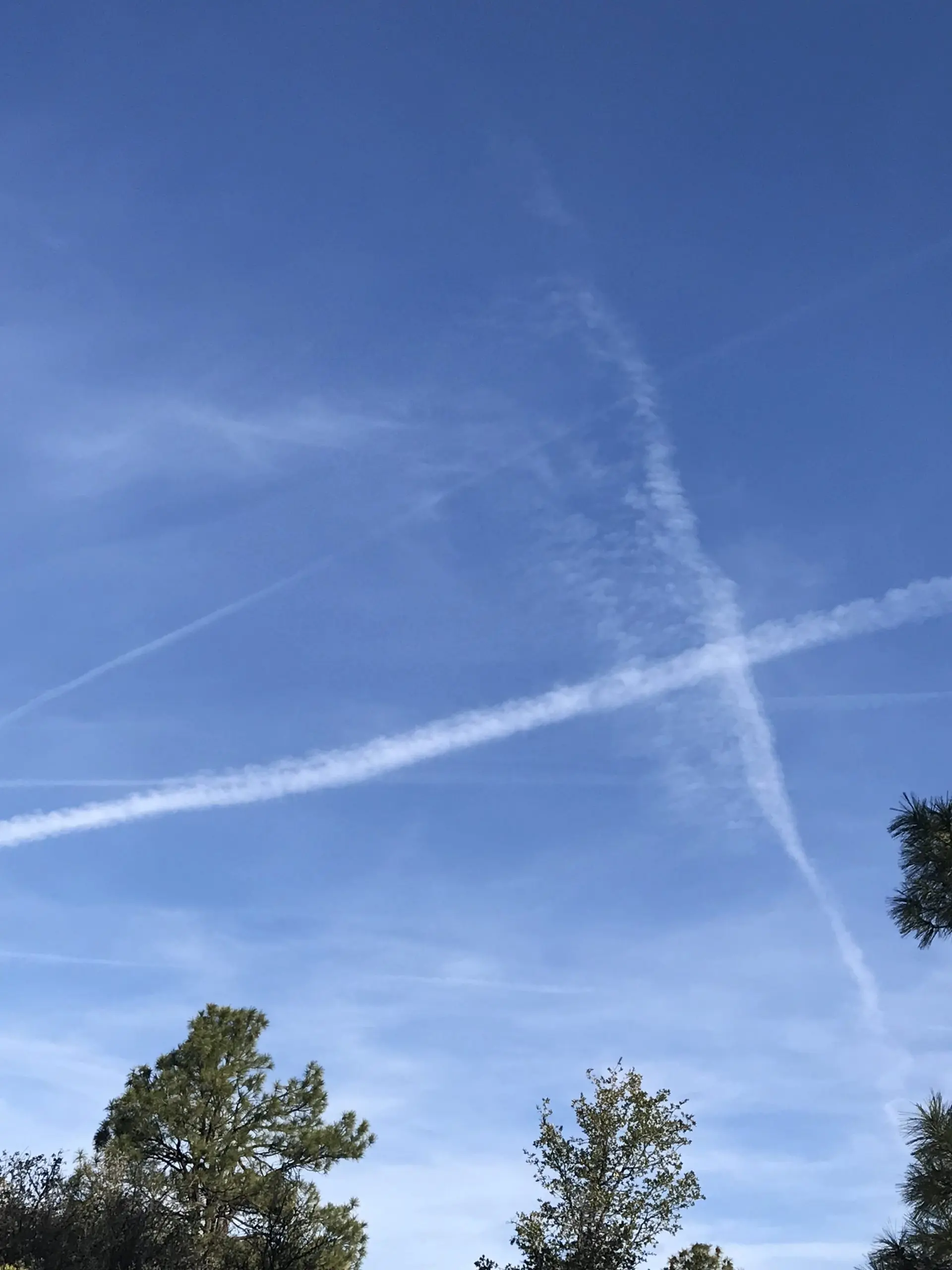 194f06a5-b52e-4180-9b5a-86477af826b9