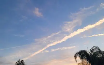 Sanford morning spraying! – April 19, 2023