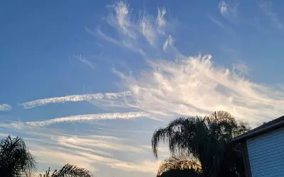 Sanford morning spraying! – May 17, 2023